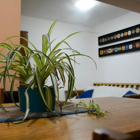 Apartament Lo De Franco Mendoza Zewnętrze zdjęcie